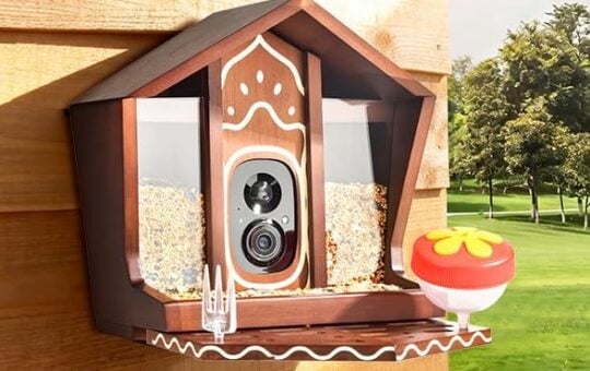 birdster Smart Bird Feeder with Camera