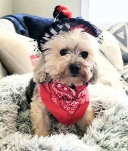 blue in costume