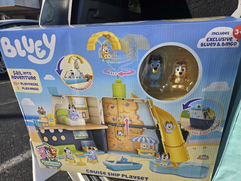 bluey cruise ship
