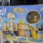 bluey cruise ship