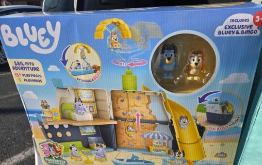 bluey cruise ship