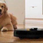 bobsweep (5)