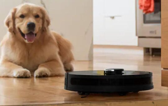 bobsweep (5)