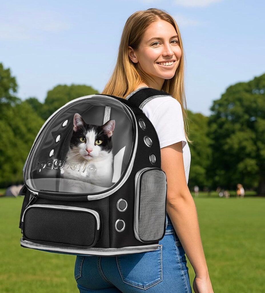 cat backpack