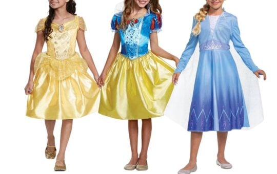 disney princess dresses (1)