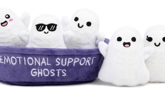 emotional support ghosts