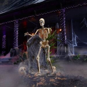 home depot halloween decoration (4)