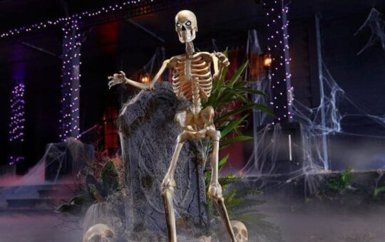 home depot halloween decoration (4)