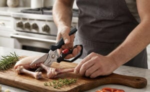 kitchen shears