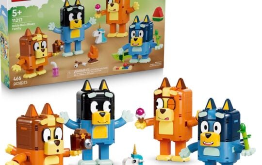lego bluey brick family
