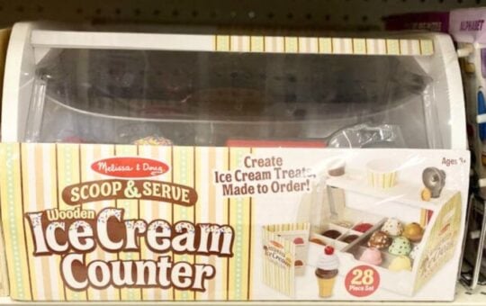 melissa and doug ice cream (1)