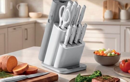 ninja neverdull knife system