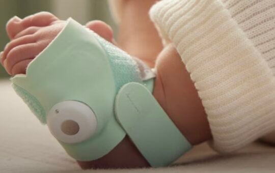 owlet dream sock