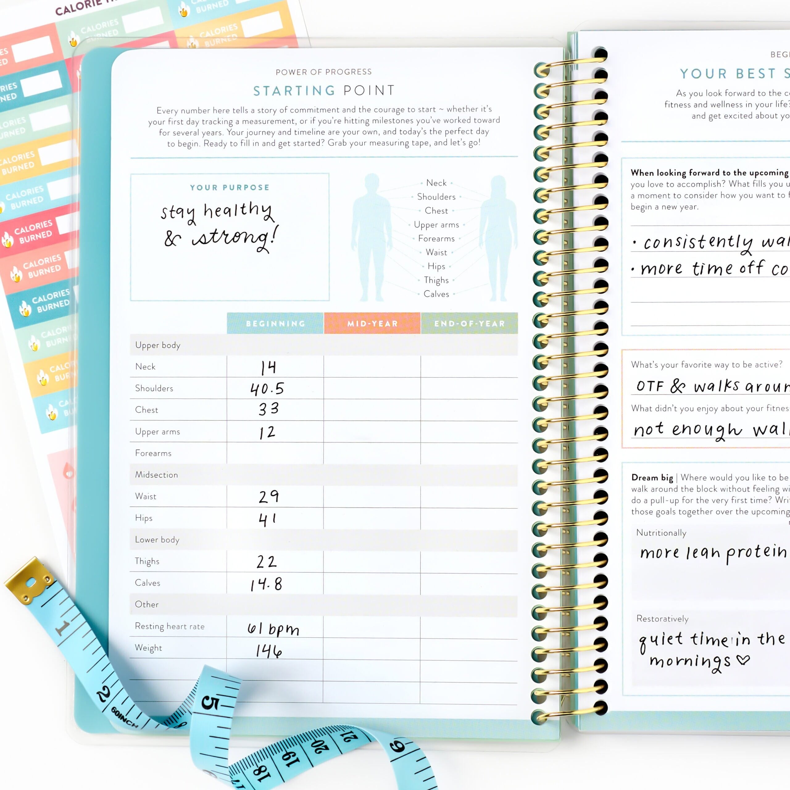 Wellness Tracker 2027 003