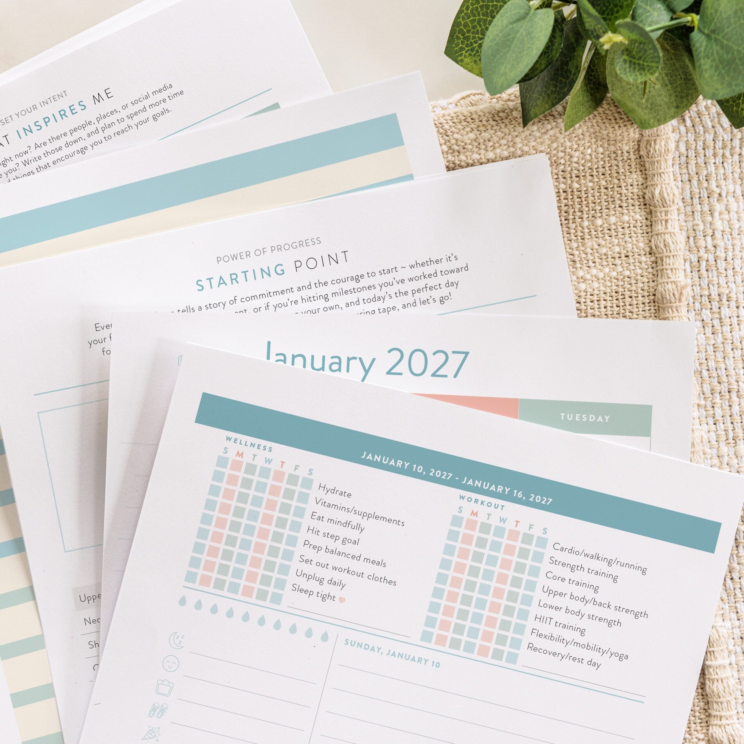 wellnesstracker fanned paper multifloral